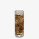 Rainbow Trout